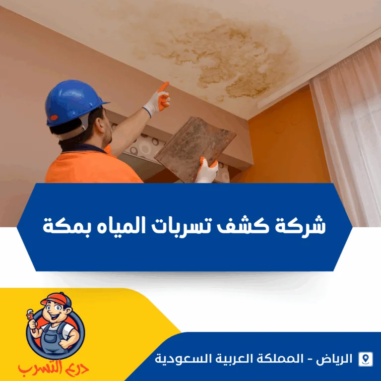 شركة كشف تسربات المياه بمكة