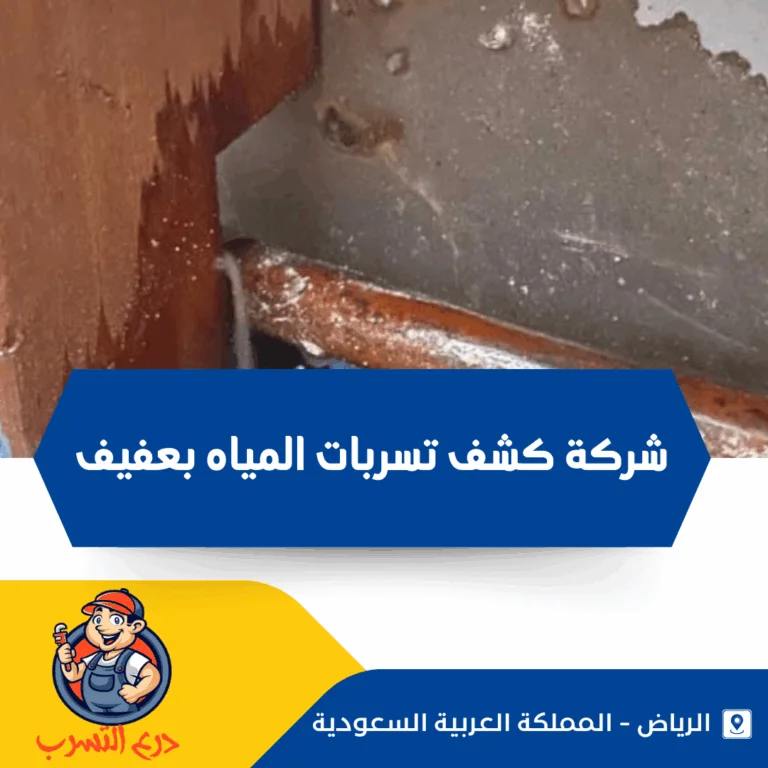 شركة كشف تسربات المياه بعفيف