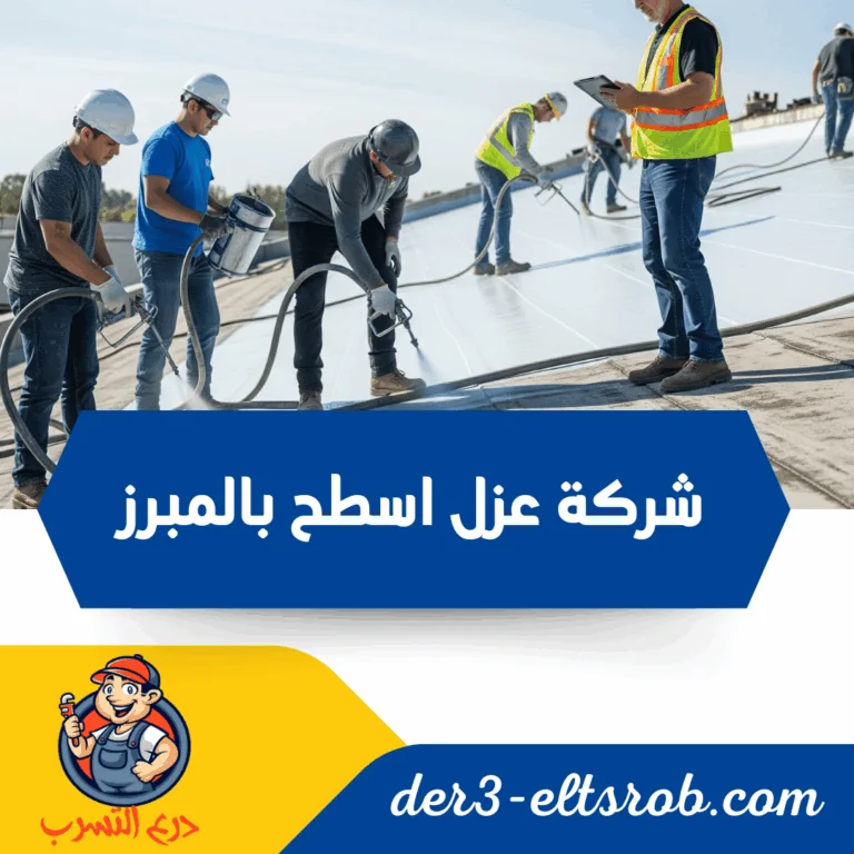 شركة عزل اسطح بالمبرز