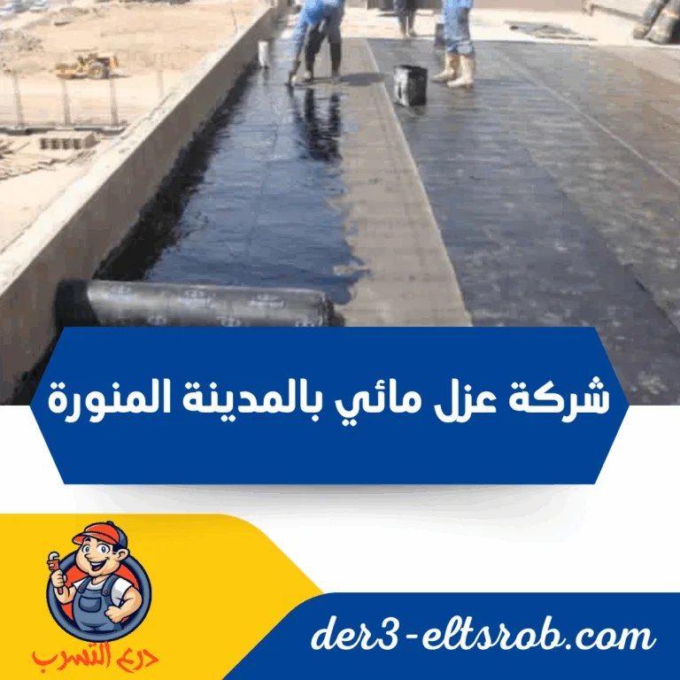 شركة عزل مائي بالمدينة المنورة