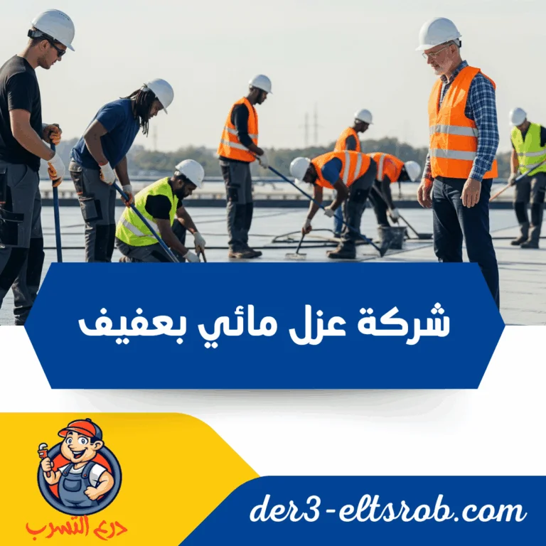 شركة عزل مائي بعفيف